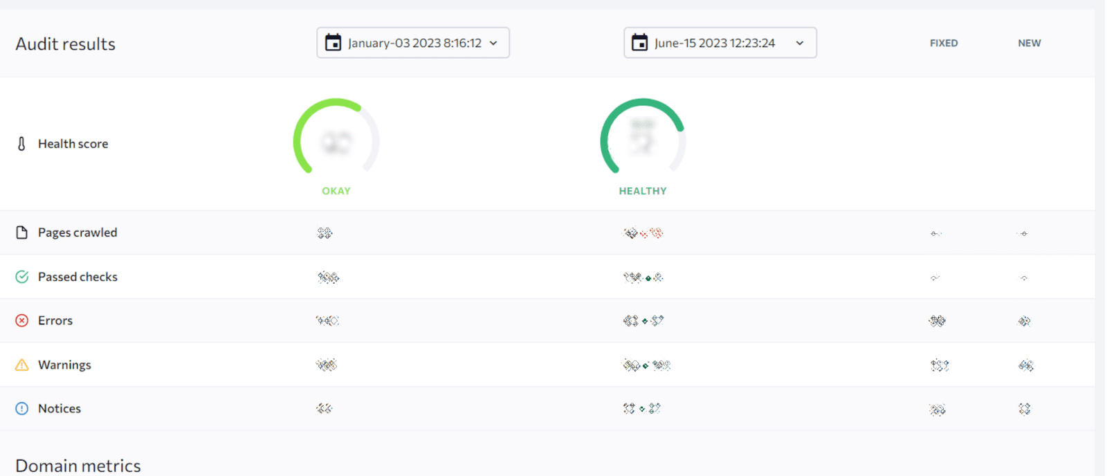 Client's website audit results